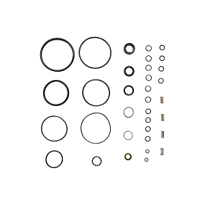 Set garnituri servodirectie cu arcuri u650 101.65.126