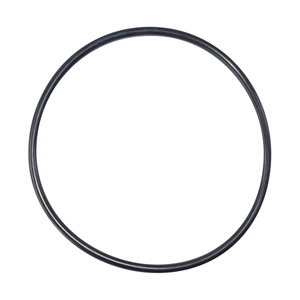 Oring carcasa interioara frana u650