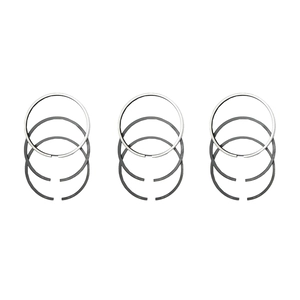 Set segmenti motor Q95 -u445 Standard